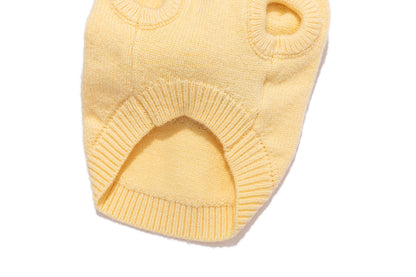 13DE MARZO Doozoo Bear Pet Sweater