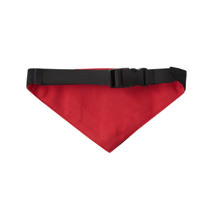 13DE MARZO Soccer Bear Pet Bib Red