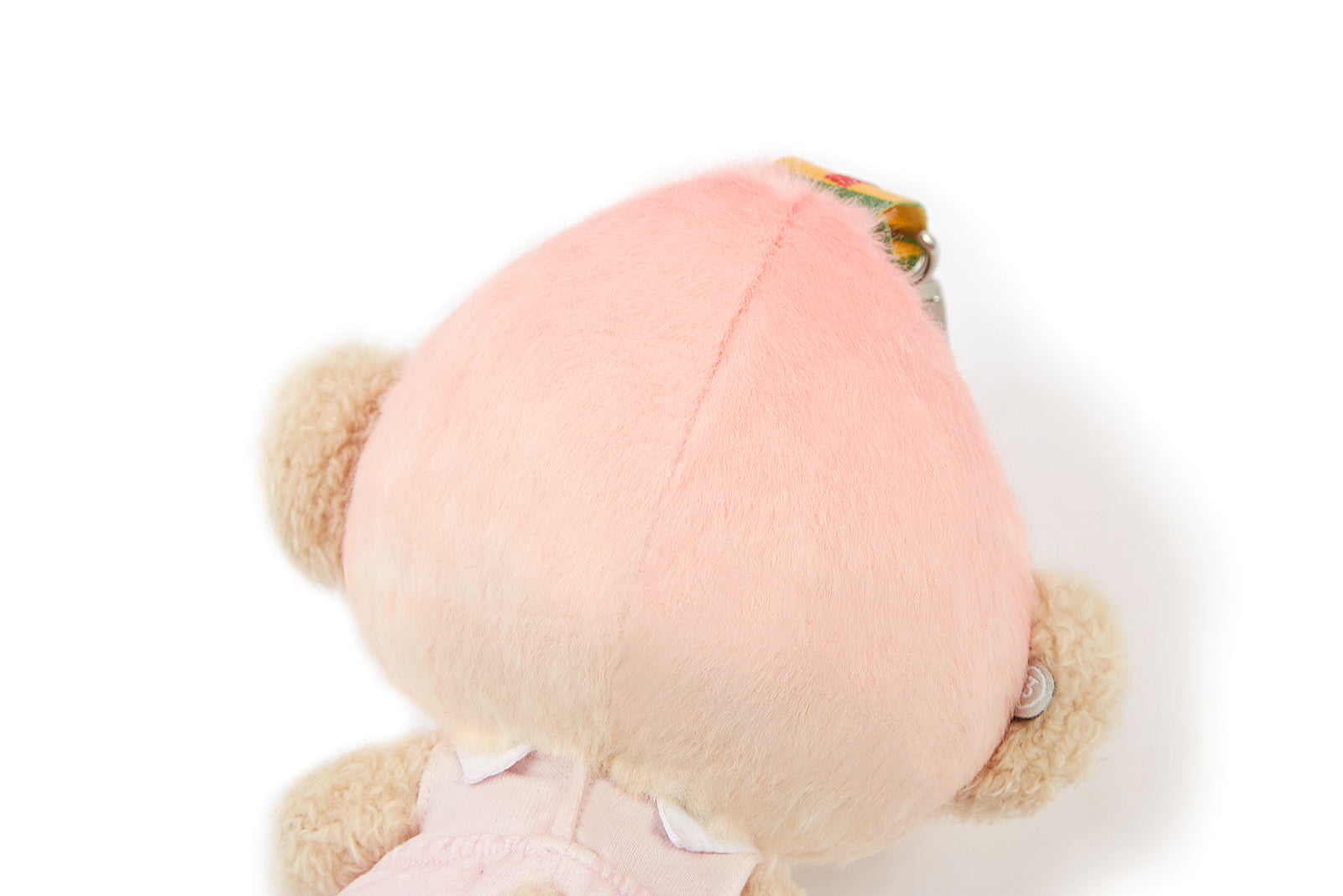 13DE MARZO A Peach Bear - 13DE MARZO