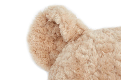 13DE MARZO Bear Air Blanket