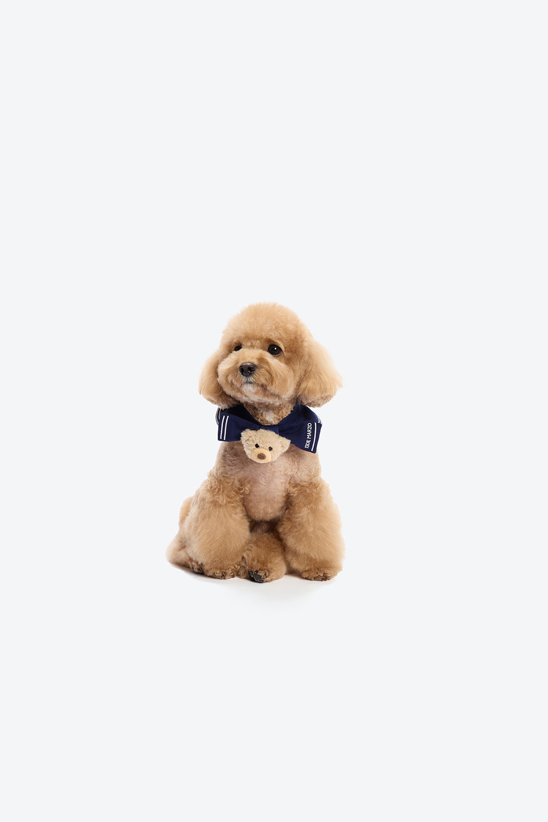 13DE MARZO Sailor Bear Pet Neck Brace