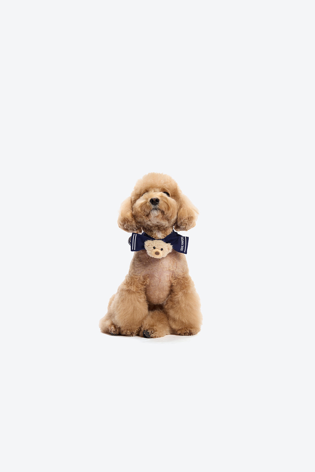 13DE MARZO Sailor Bear Pet Neck Brace