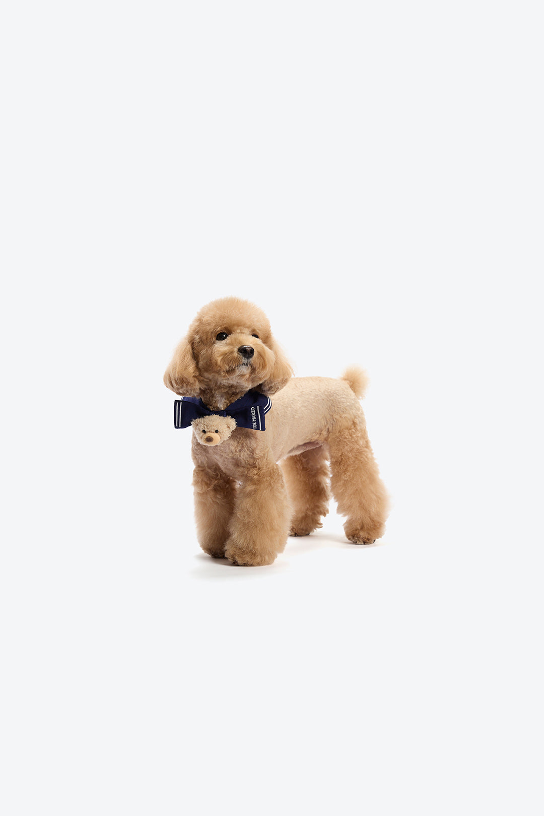 13DE MARZO Sailor Bear Pet Neck Brace