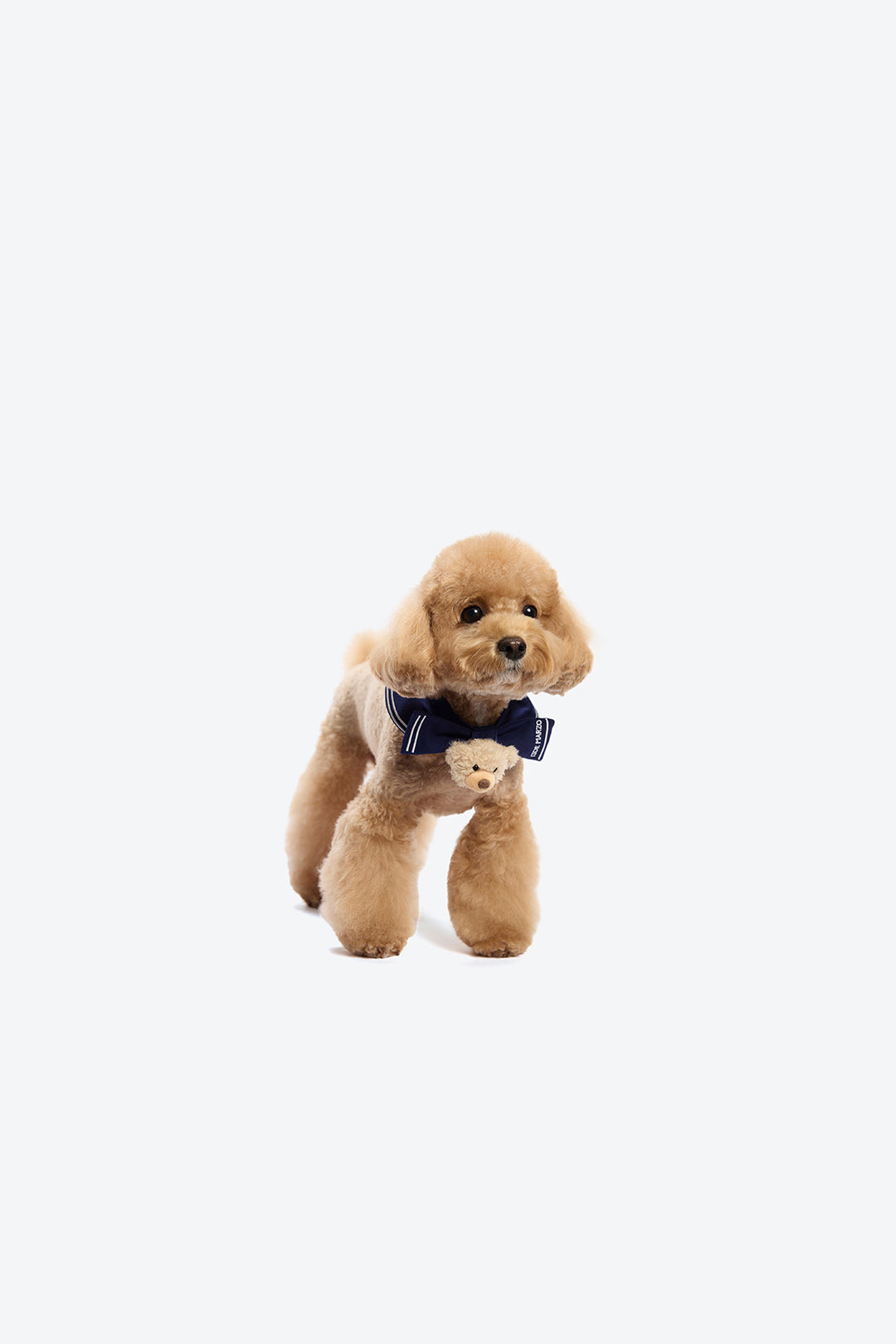 13DE MARZO Sailor Bear Pet Neck Brace