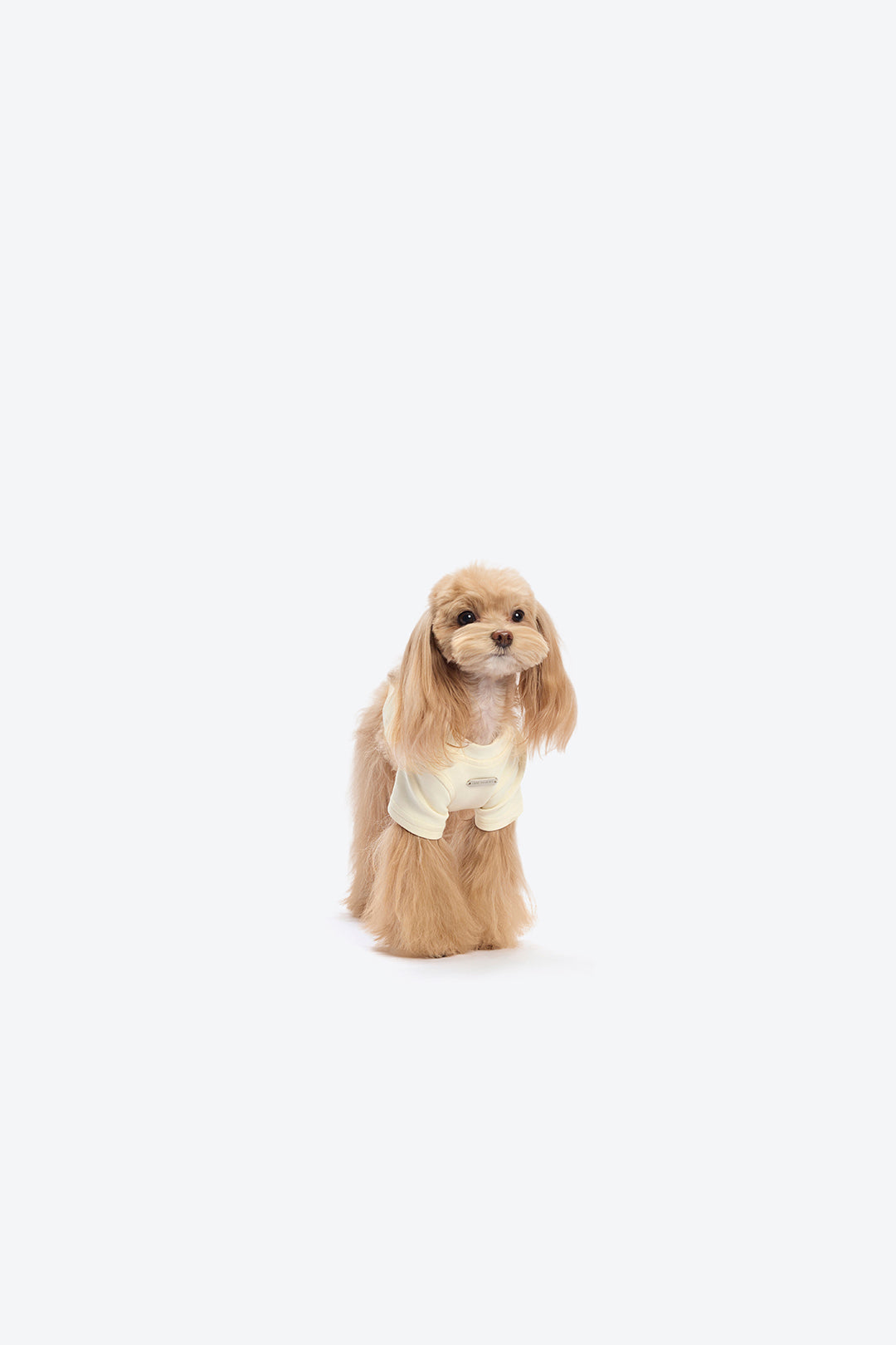13DE MARZO Marzo Bear Pet Tee Beige