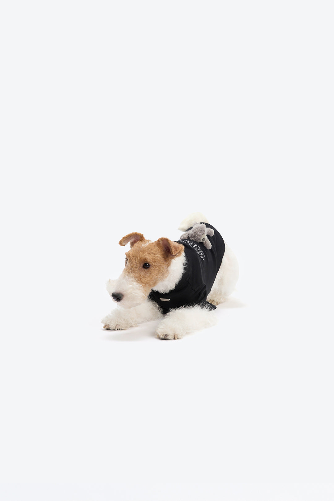 13DE MARZO Marzo Bear Pet Tee Black