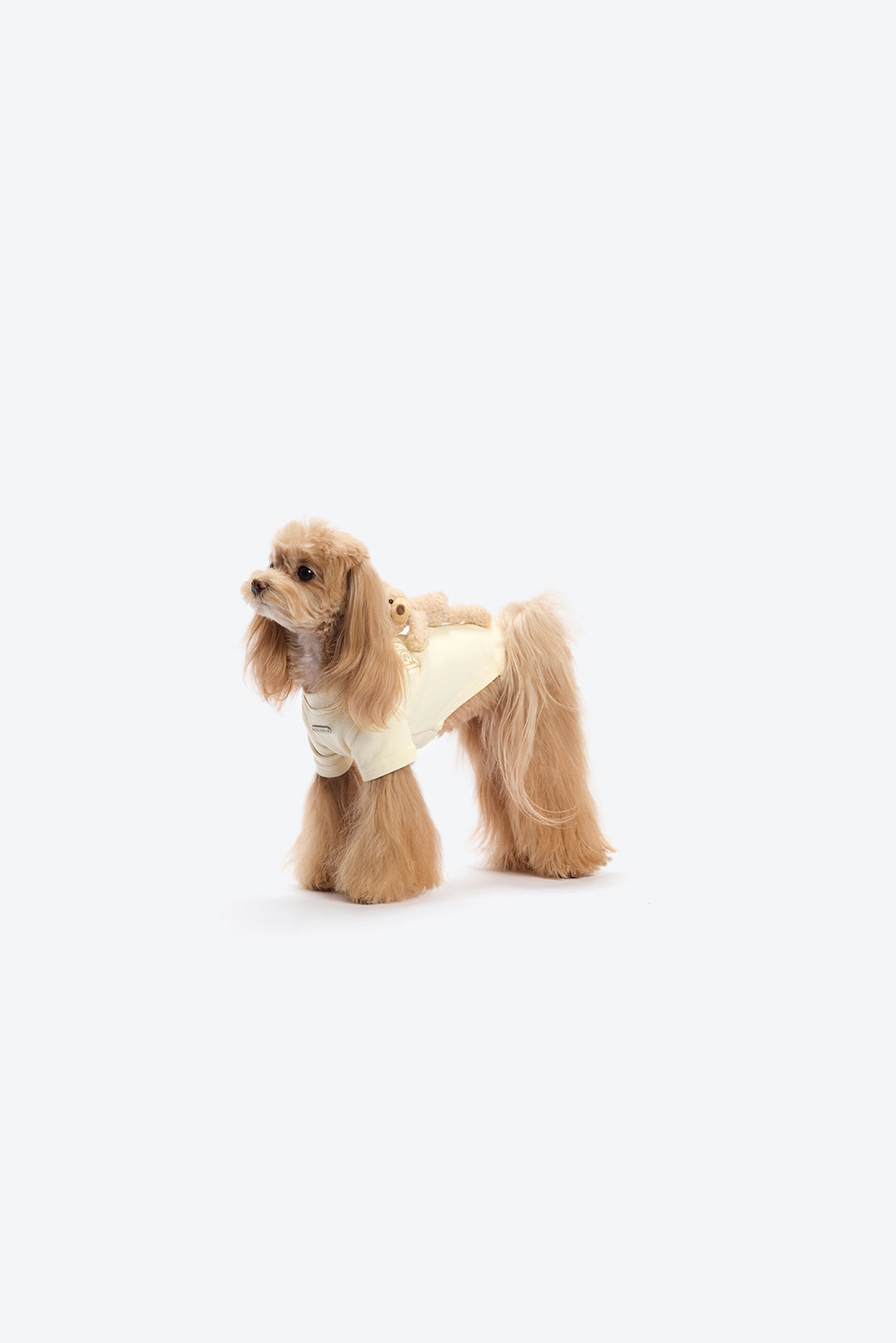13DE MARZO Marzo Bear Pet Tee Beige