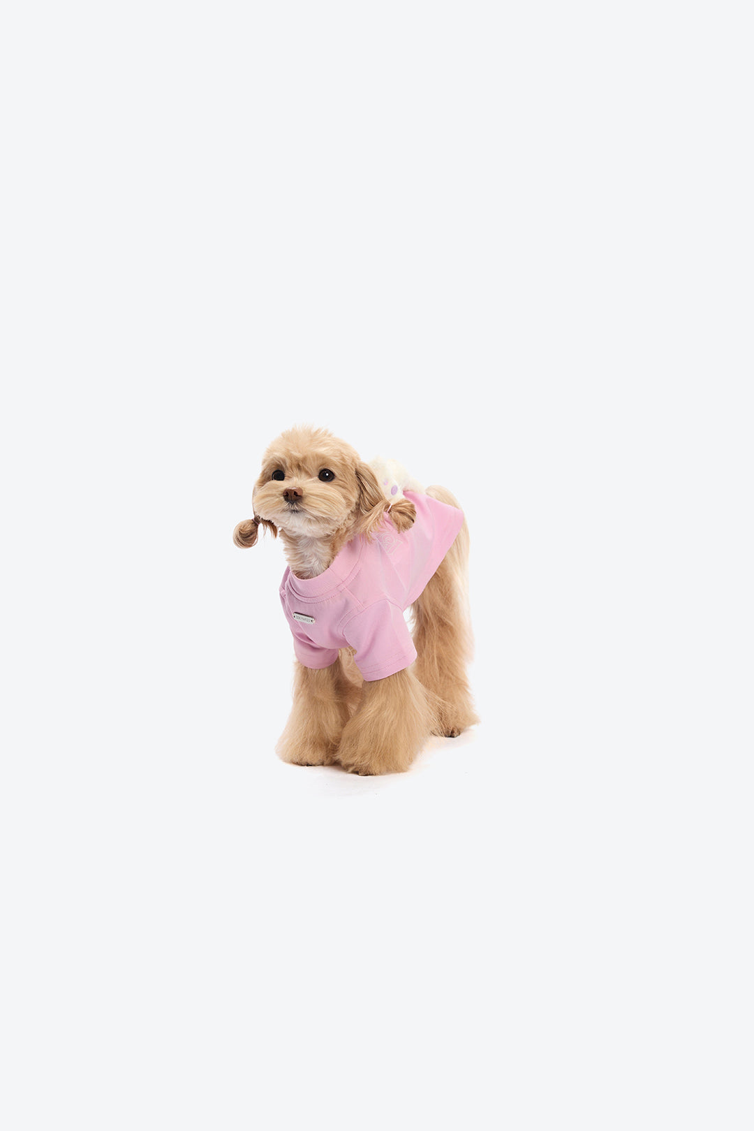 13DE MARZO Marzo Bear Pet Tee Pink