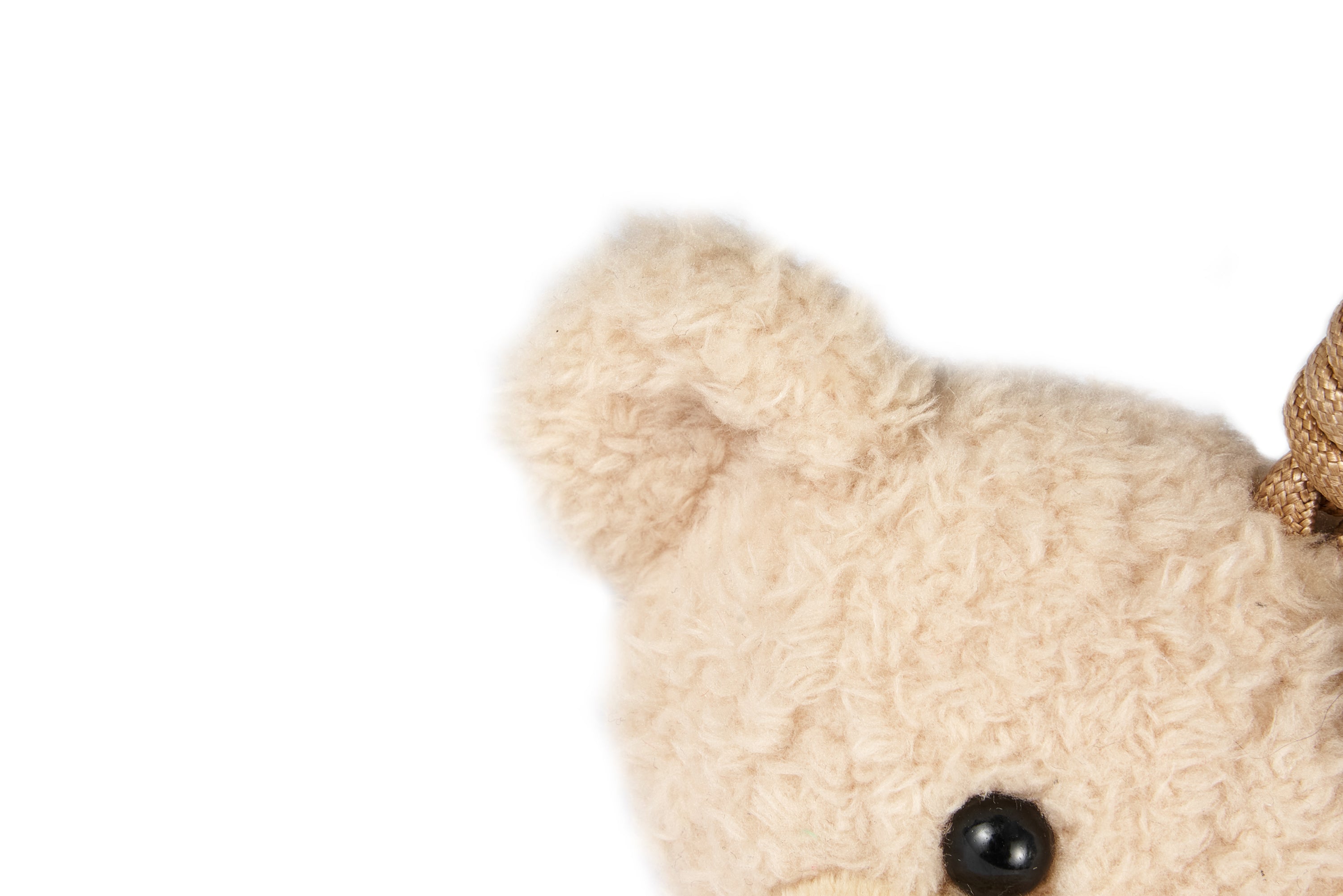 13DE MARZO Sandalwood Bear Scent | 13DE MARZO